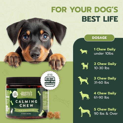 All-Natural Calming Chew For Dogs (NO CBD)