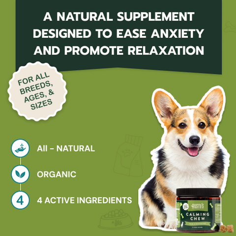 All-Natural Calming Chew For Dogs (NO CBD)